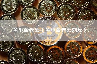 黄小蕾老公（黄小蕾老公刘磊）