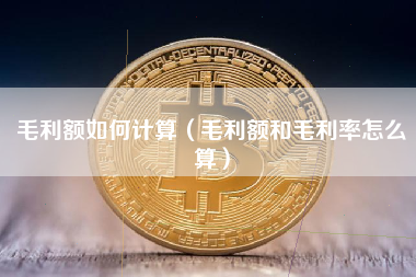 毛利额如何计算（毛利额和毛利率怎么算）