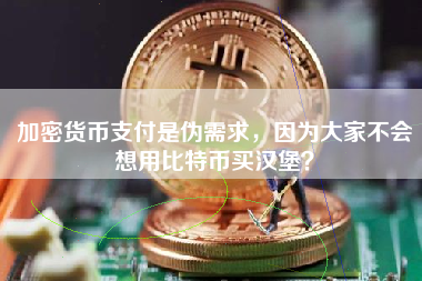 加密货币支付是伪需求，因为大家不会想用比特币买汉堡？