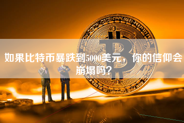 如果比特币暴跌到5000美元，你的信仰会崩塌吗？
