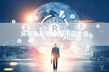 屎币最高市值(屎币总价值)